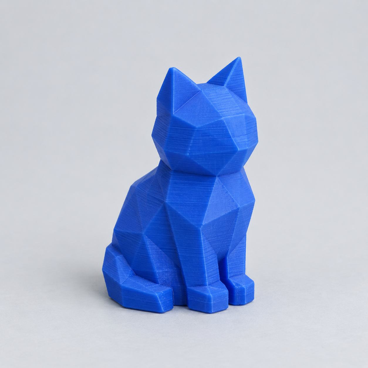 Illustrative concept for low-poly cat